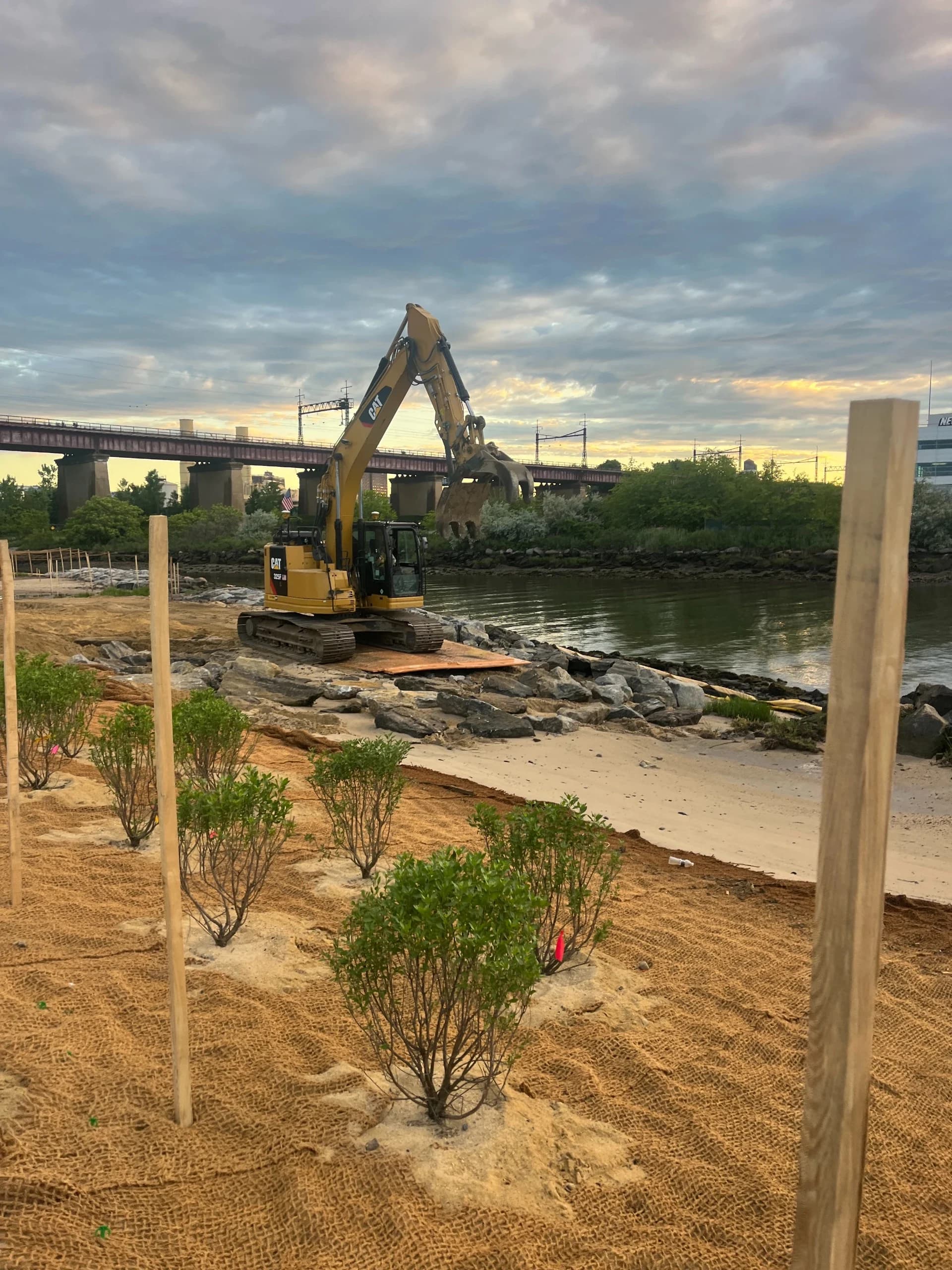 Randall's Island Salt Marsh Restoration, photo 6