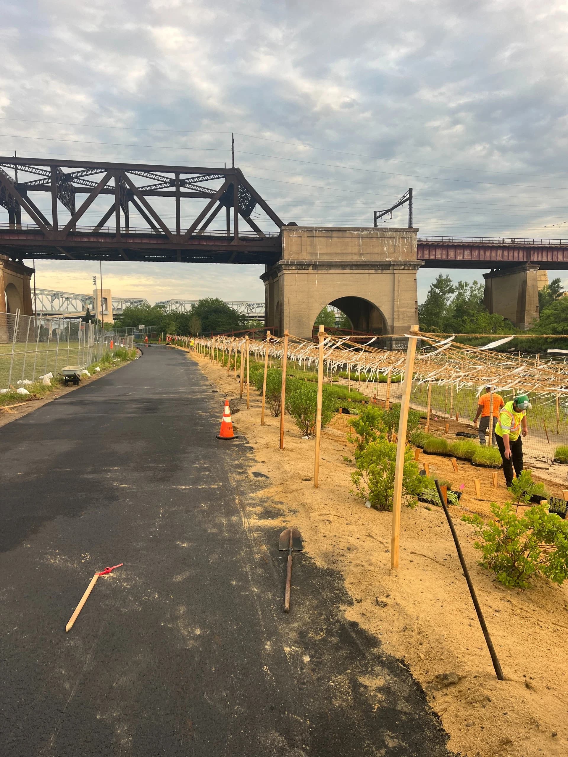 Randall's Island Salt Marsh Restoration, photo 12