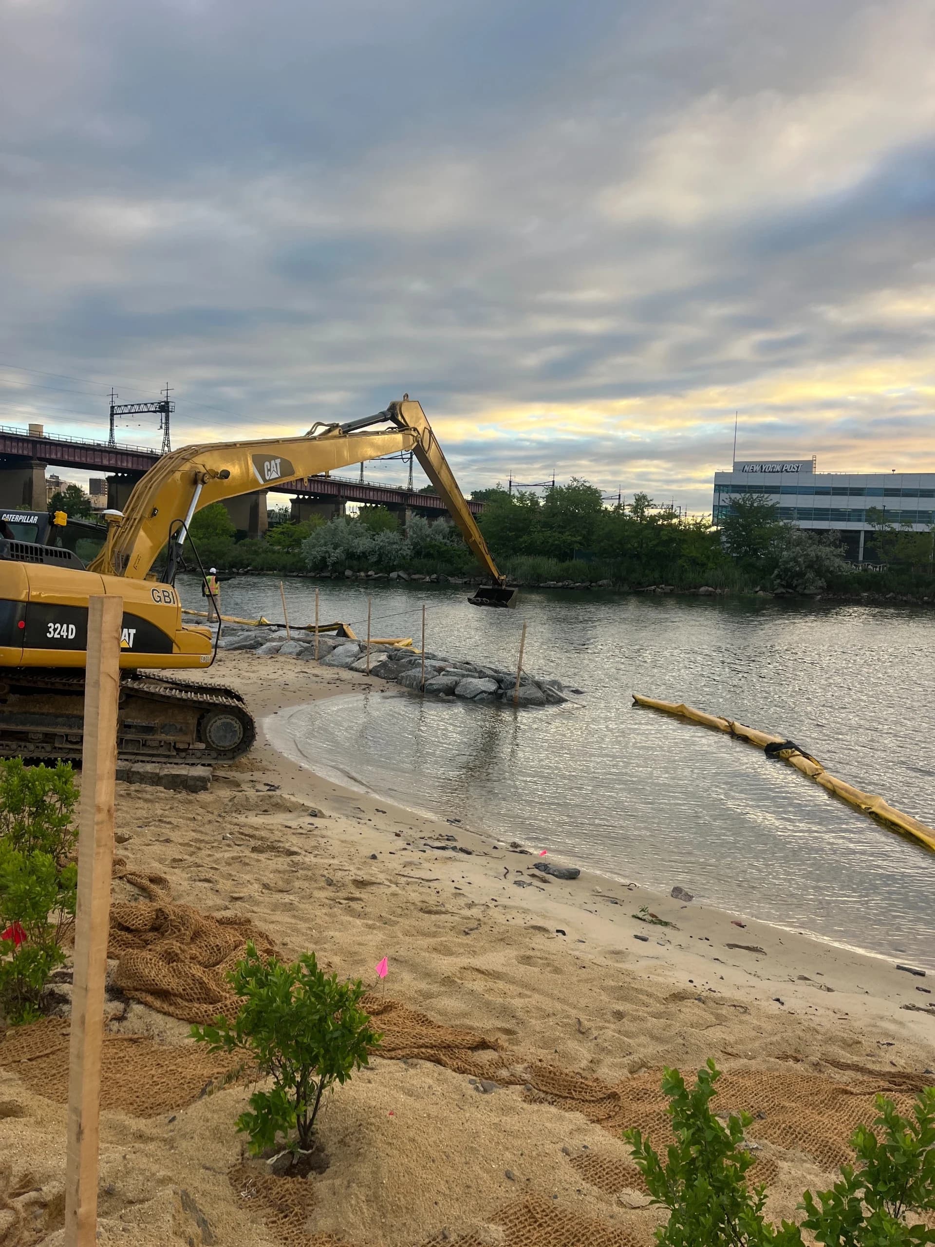 Randall's Island Salt Marsh Restoration, photo 9