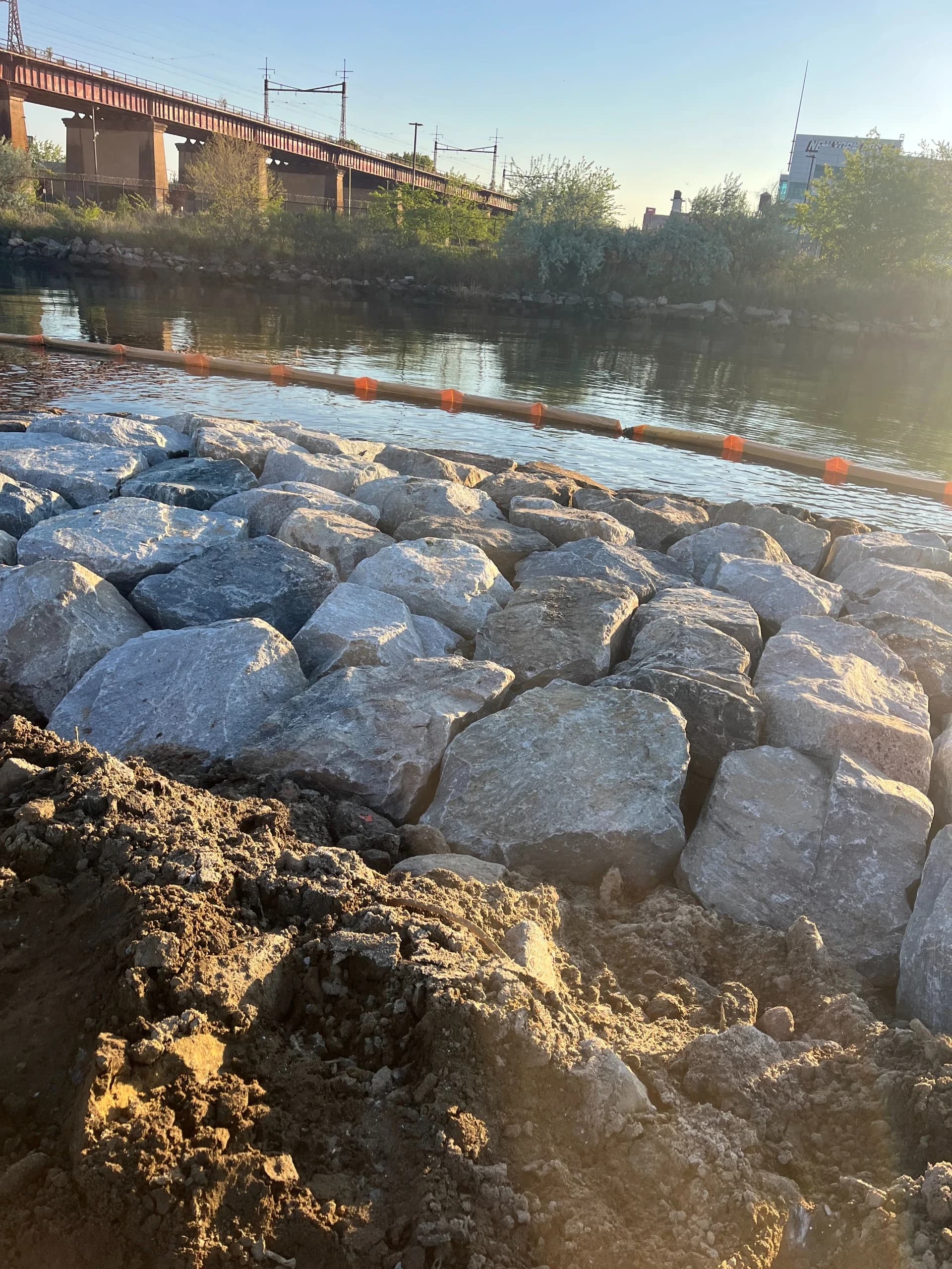 Randall's Island Salt Marsh Restoration, photo 8