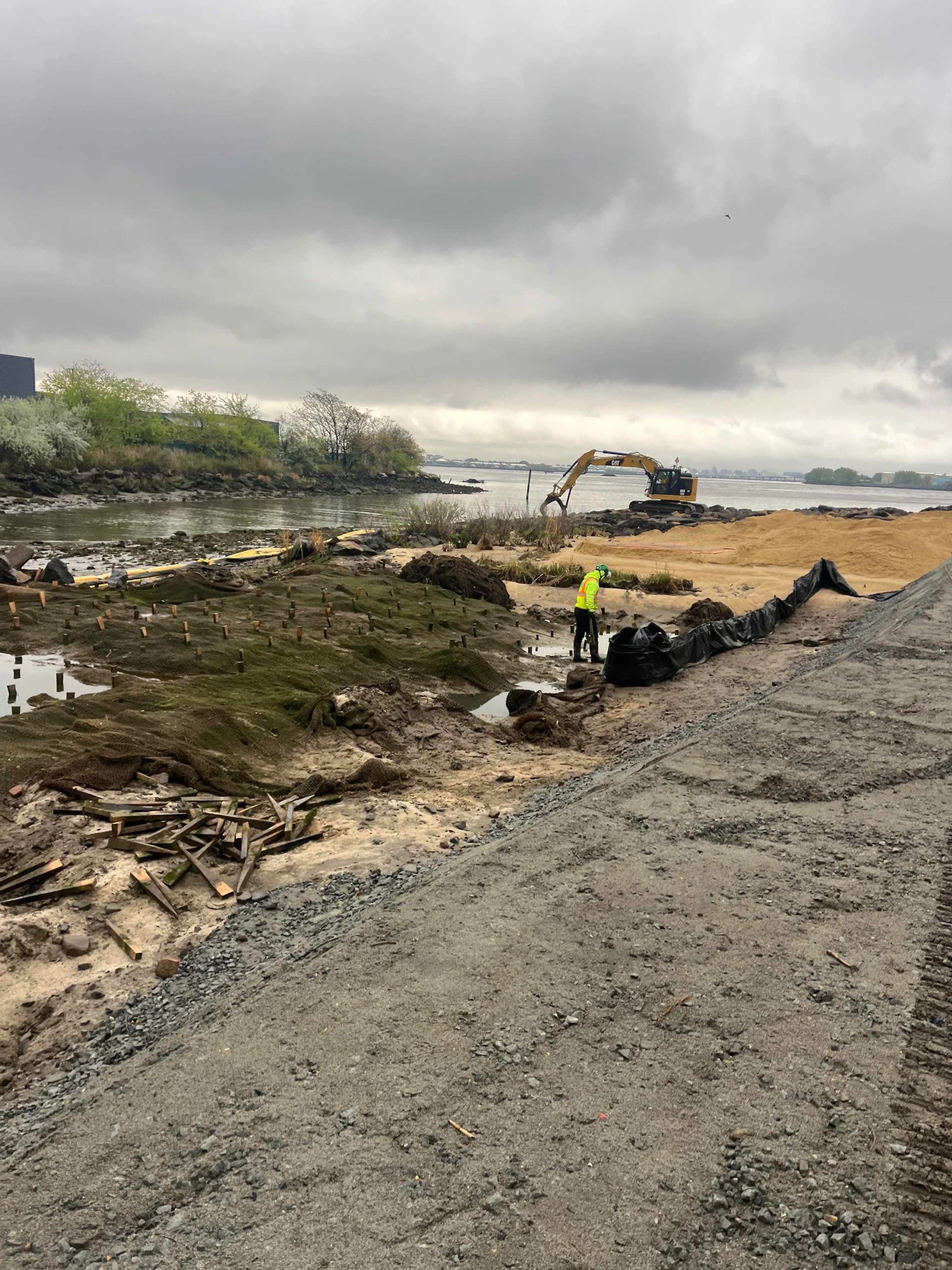 Randall's Island Salt Marsh Restoration, photo 4