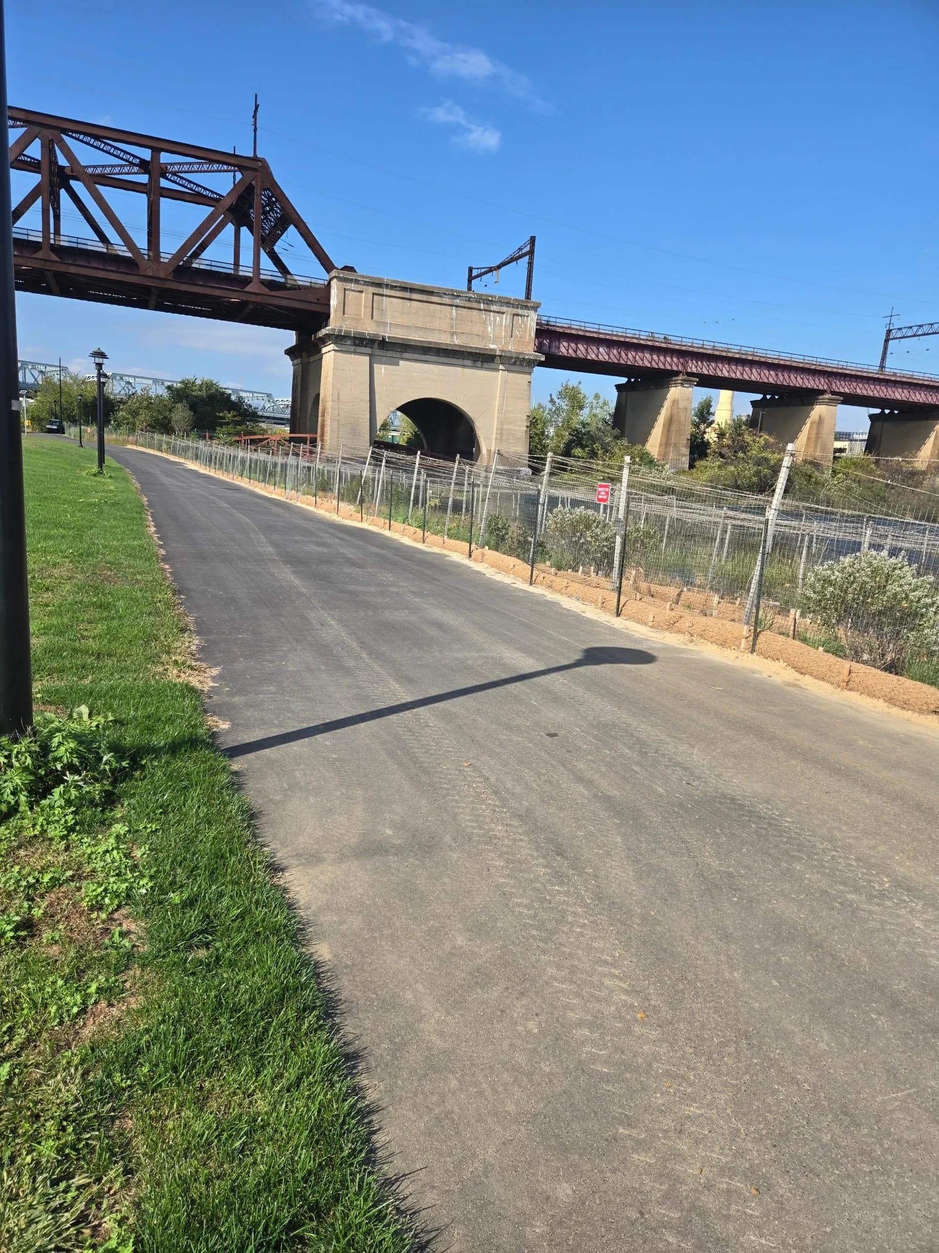 Randall's Island Salt Marsh Restoration, photo 14