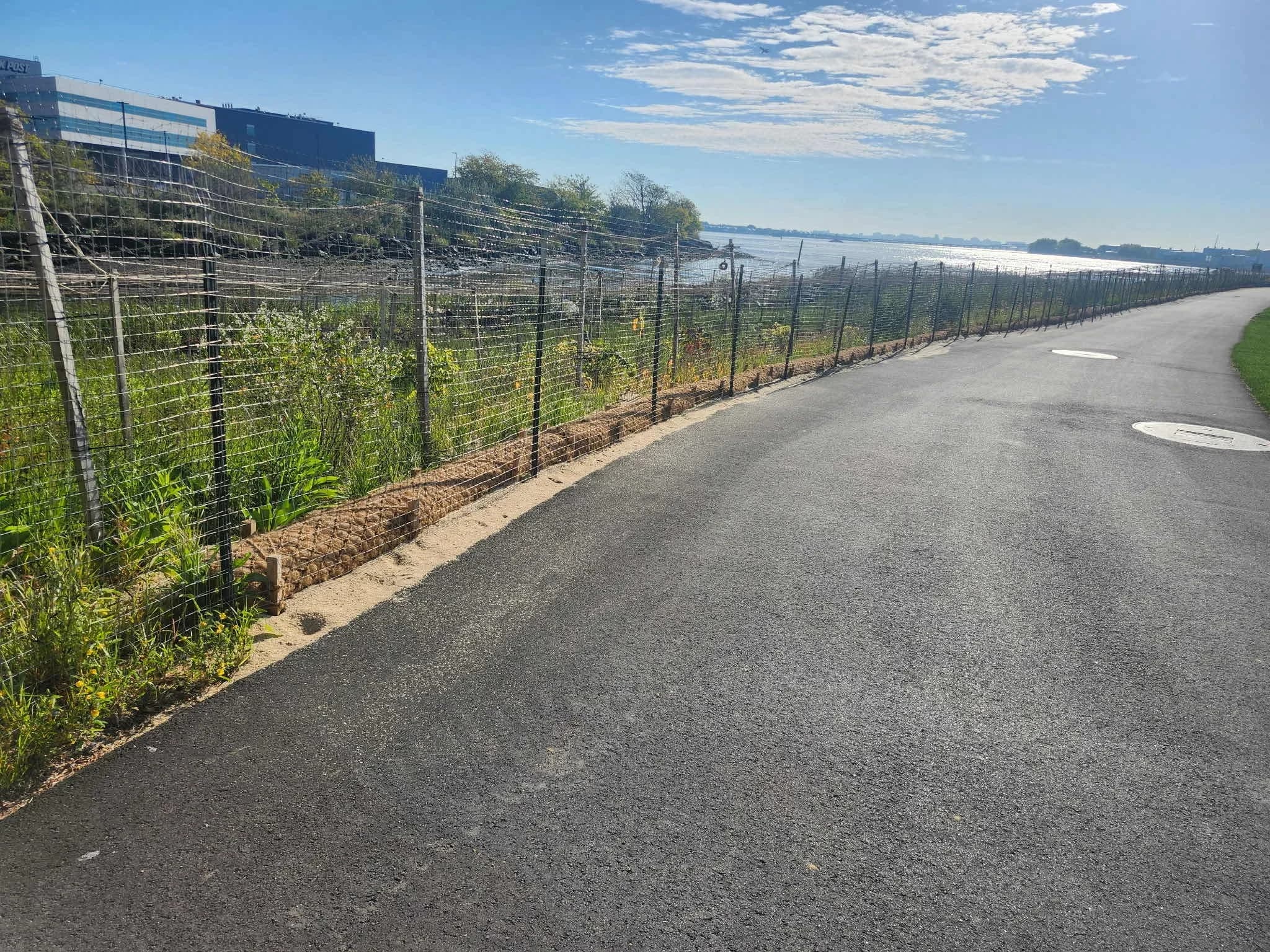 Randall's Island Salt Marsh Restoration, photo 15