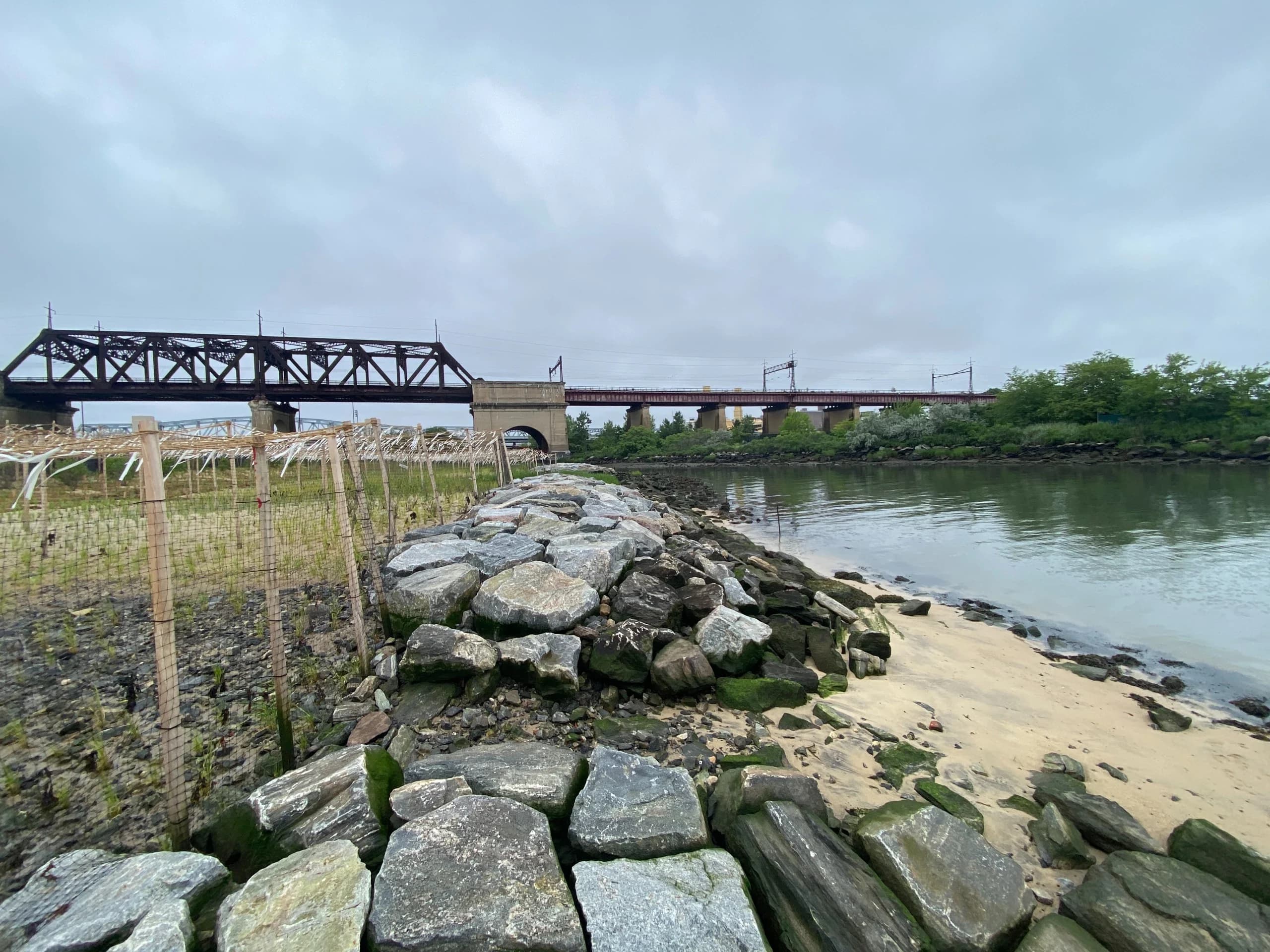 Randall's Island Salt Marsh Restoration, photo 10