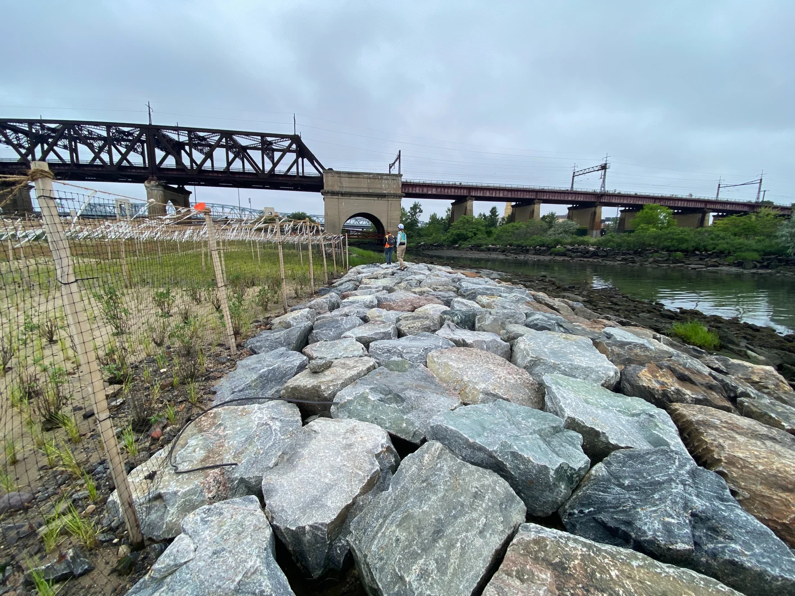 Randall's Island Salt Marsh Restoration, photo 11